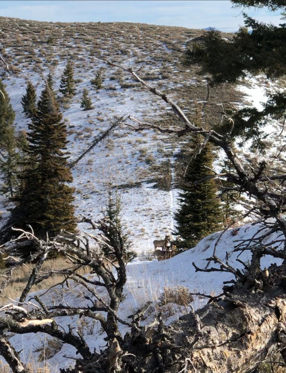 Me, Myself, and a Bull: Part 1 - Initial Ascent