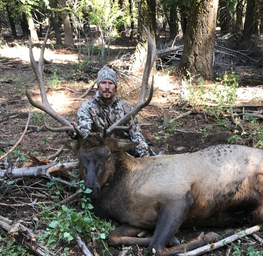 First Bull