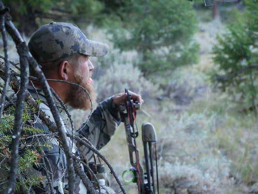Finding Success on Tough Elk Hunts