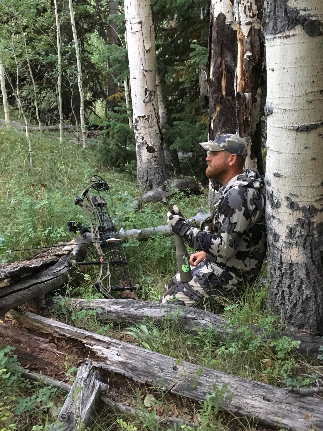 Get Aggressive With Elk