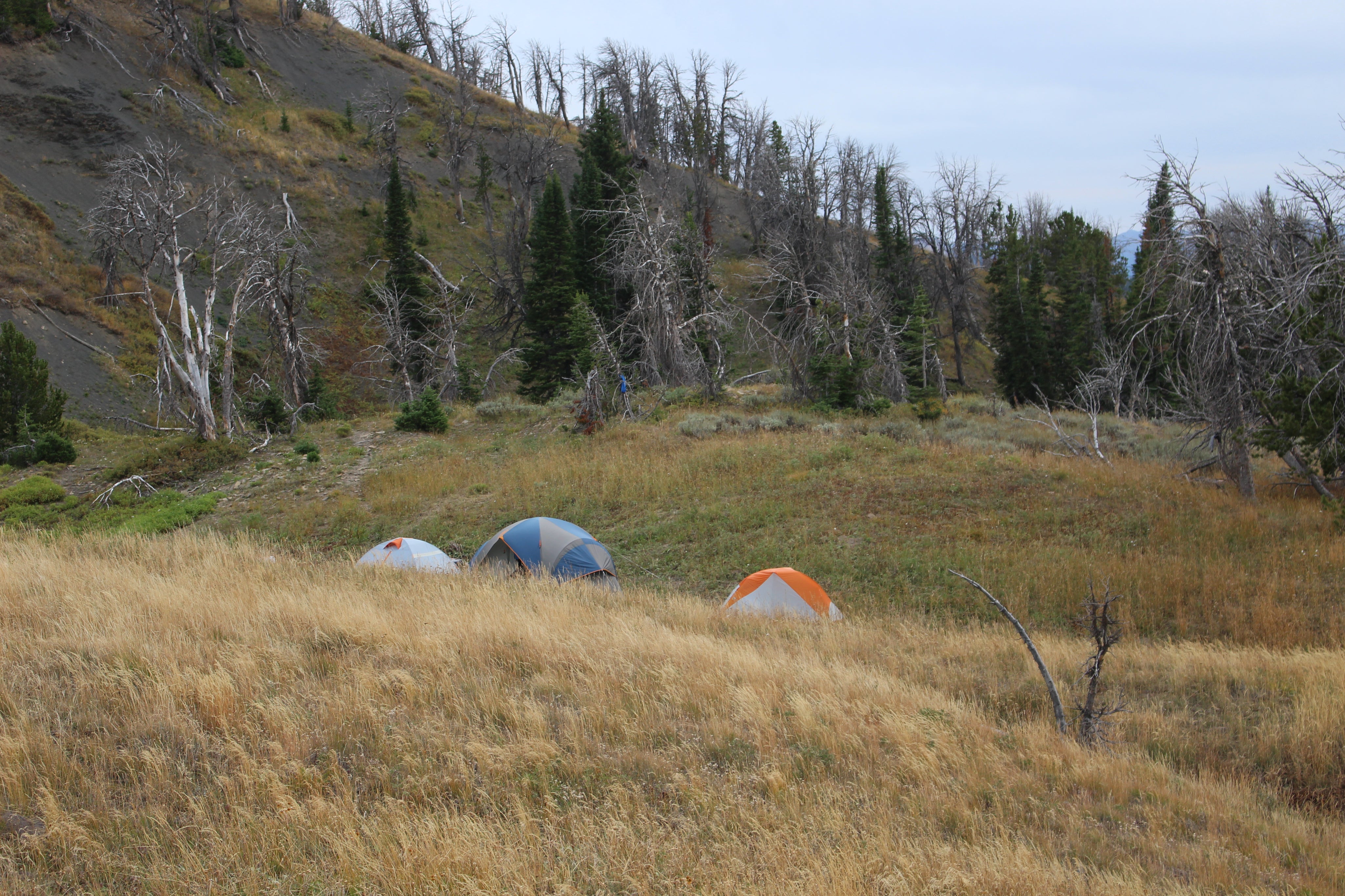 Post-Season Gear Audit: How to Evaluate and Upgrade Your Hunting Kit