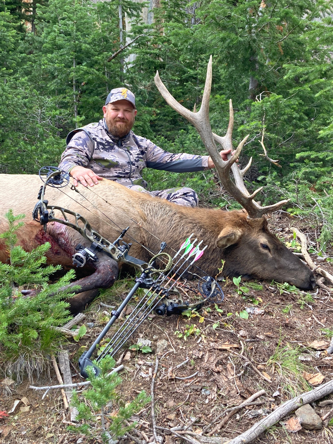 Archery Setups for Elk Season