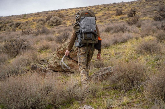 Shed Hunting Season in Colorado: What You Need to Know Before You Hit the Hills