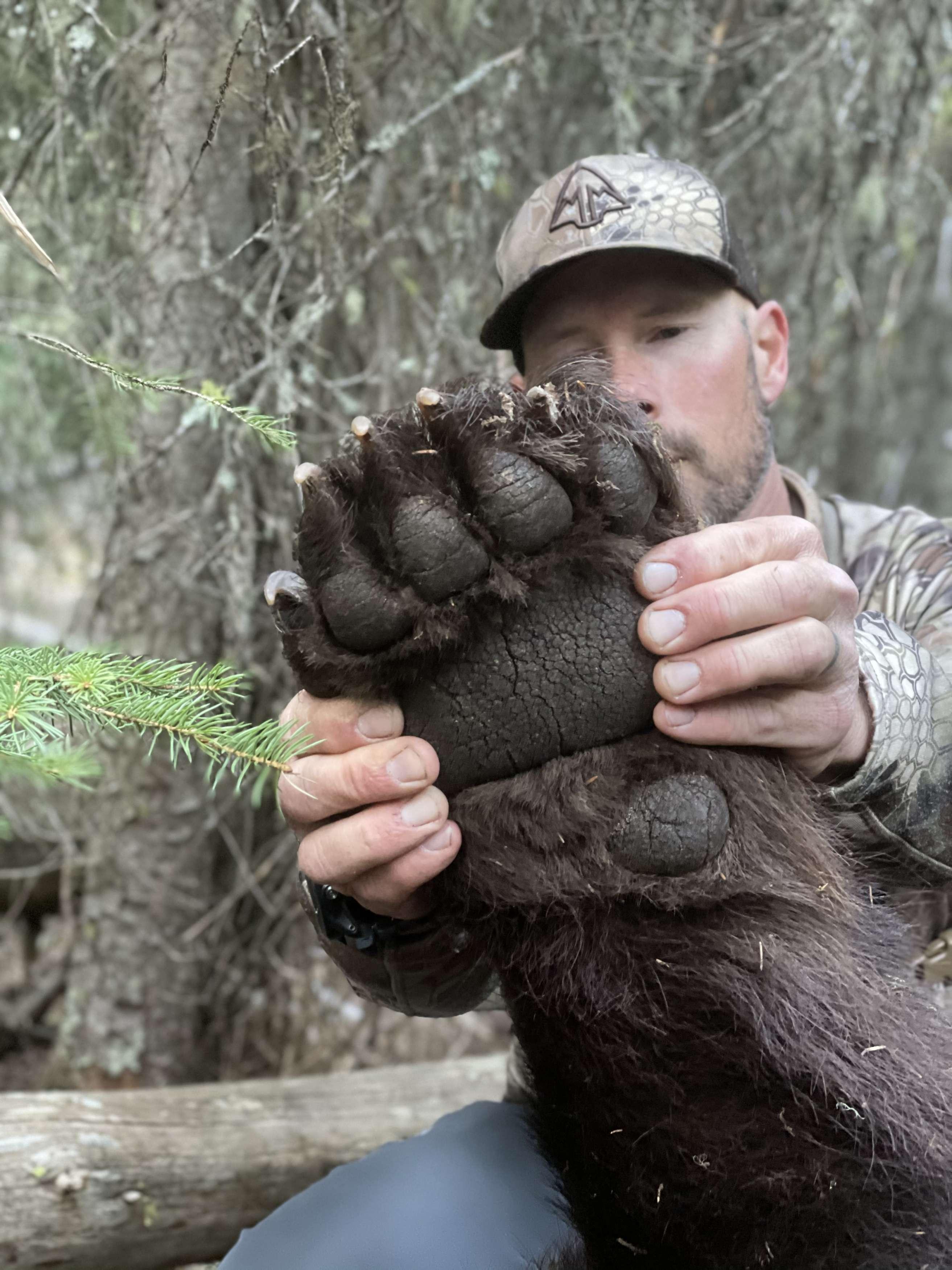 Bear Gear: Do you have the gear you need? - Initial Ascent