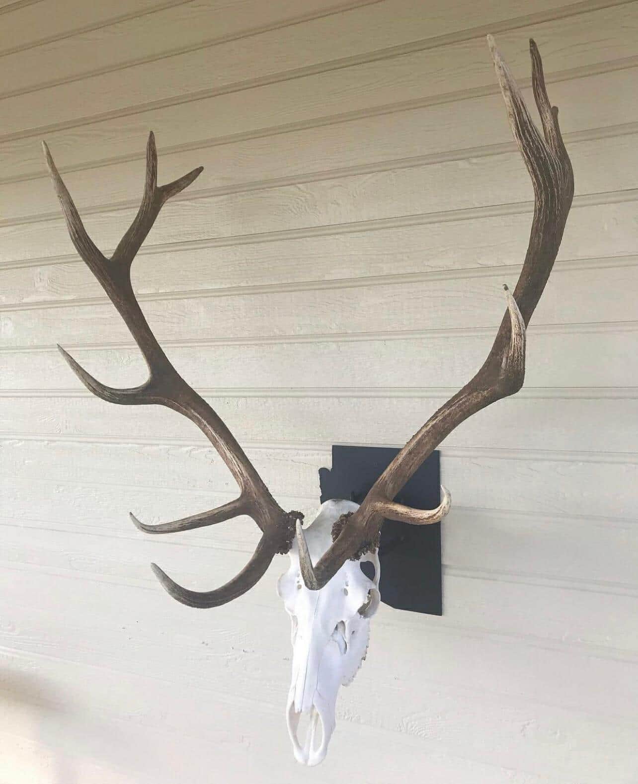 Iron Mountain Skull Hangers- States