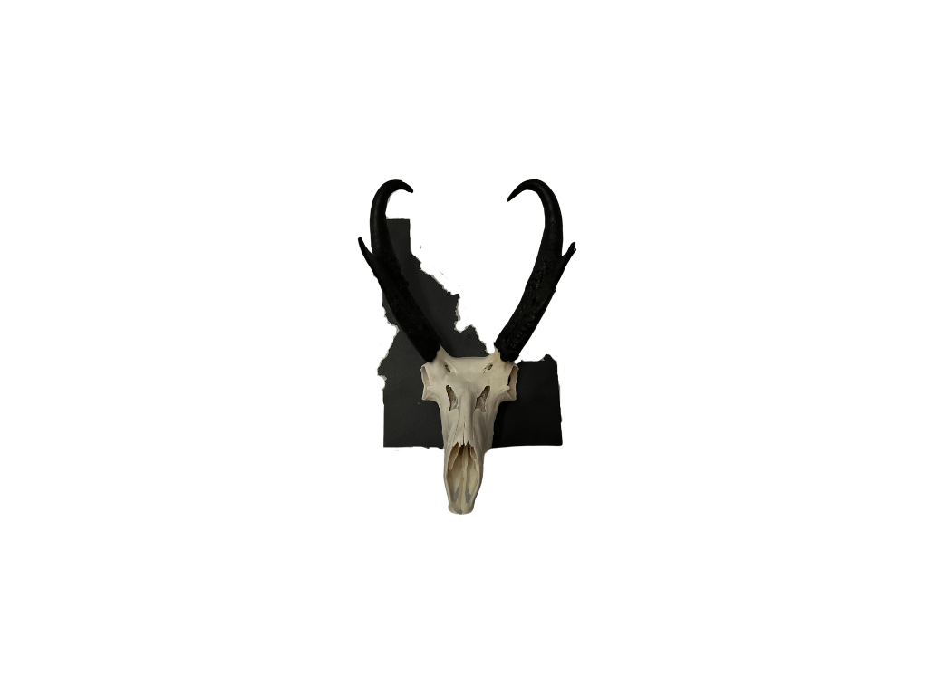 Iron Mountain Skull Hangers- Idaho Tab Hanger