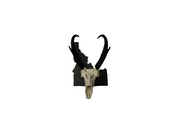 Iron Mountain Skull Hangers-Idaho Tab Hanger