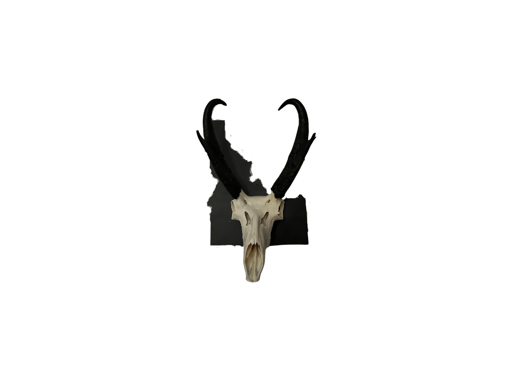Iron Mountain Skull Hangers-Idaho Tab Hanger