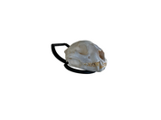 Iron Mountain Skull Hangers- Predator Hanger