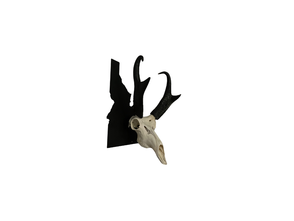 Iron Mountain Skull Hangers- Idaho Tab Hanger