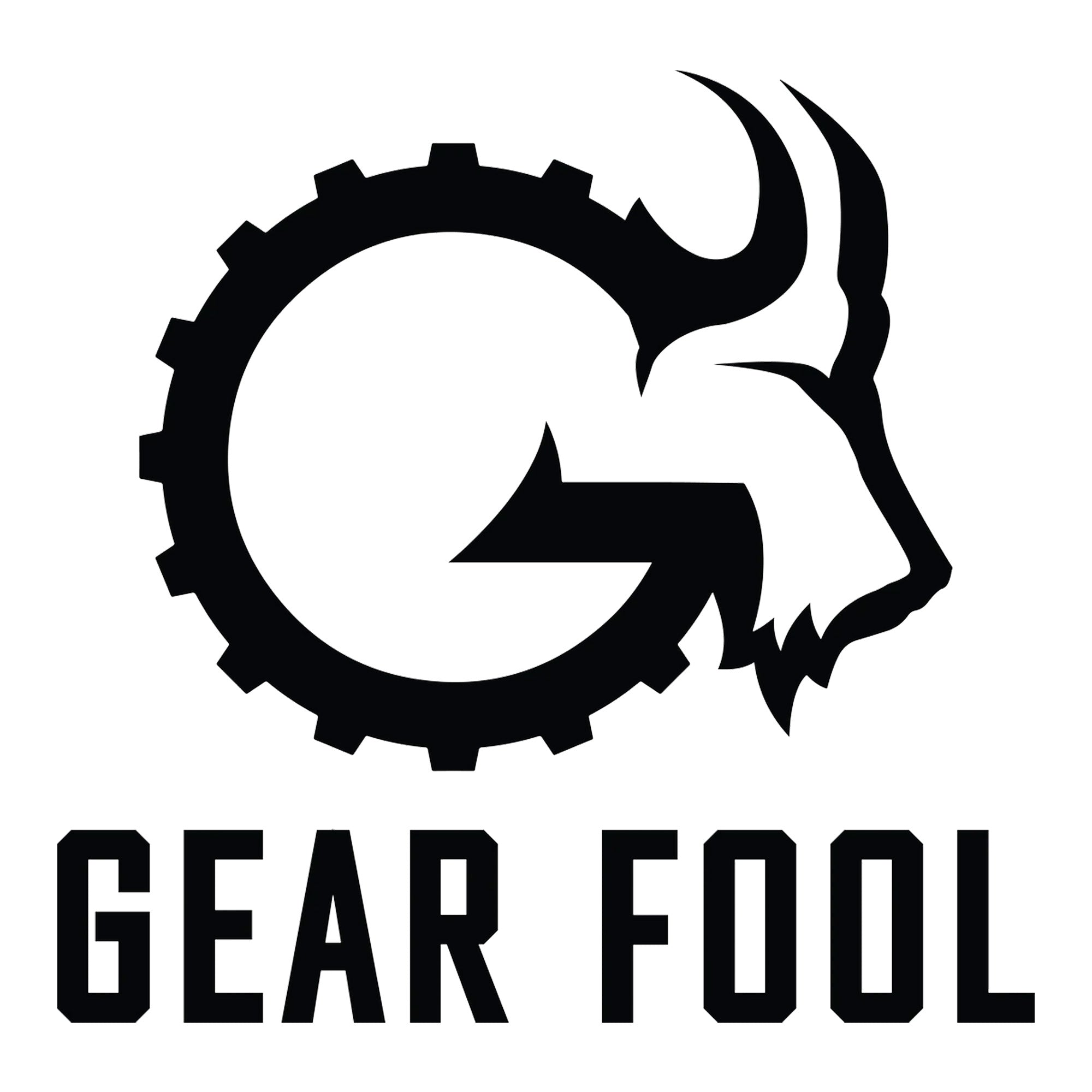 Gear_Fool.jpg