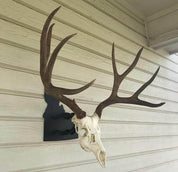 Iron Mountain Skull Hangers- States