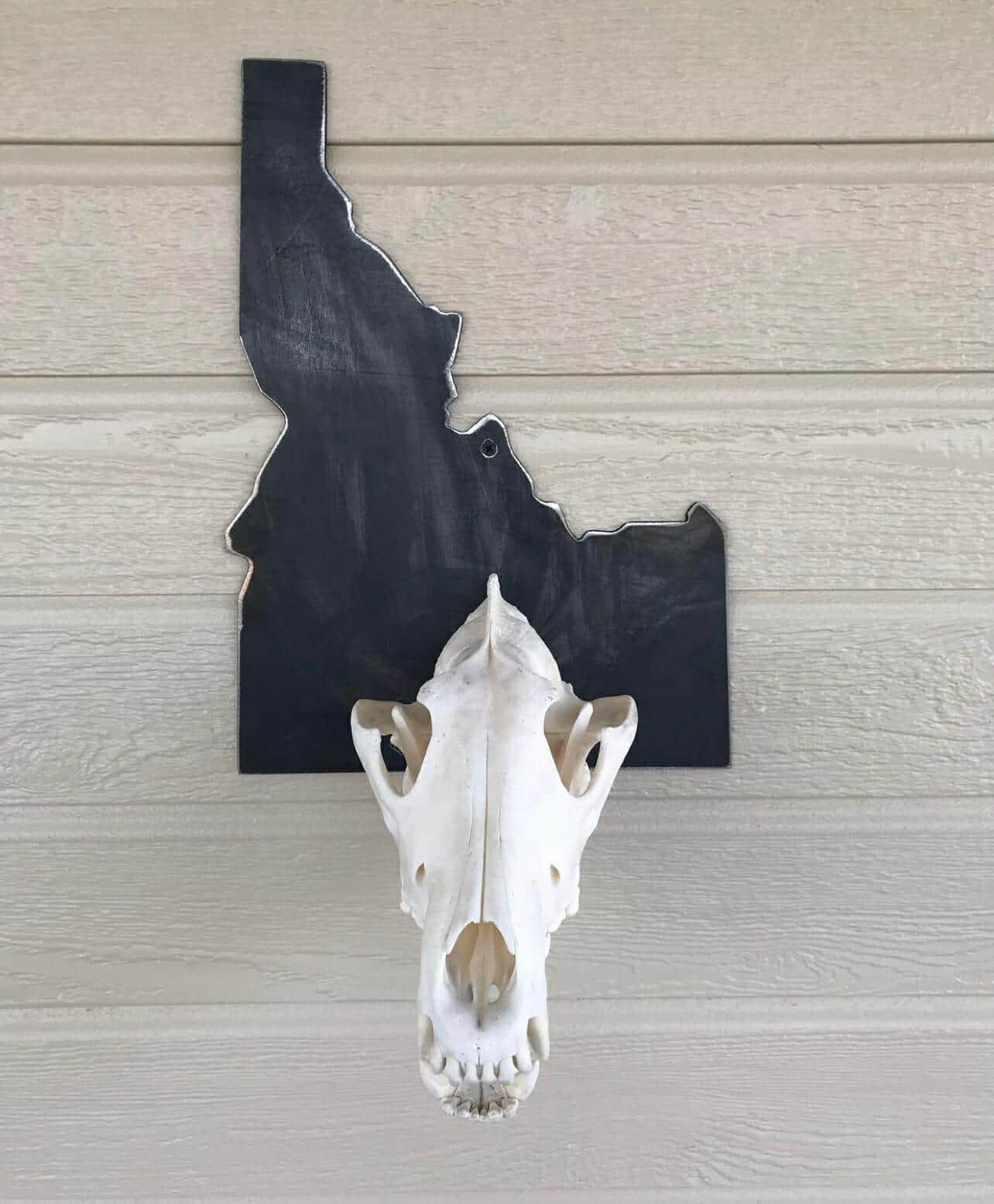 Iron Mountain Skull Hangers- States