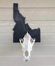 Iron Mountain Skull Hangers- States