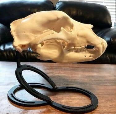 Iron Mountain Skull Hangers- Large Table