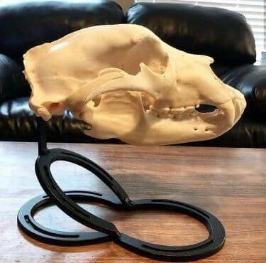 Iron Mountain Skull Hangers- Large Table