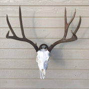 Iron Mountain Skull Hangers- Large Hanger
