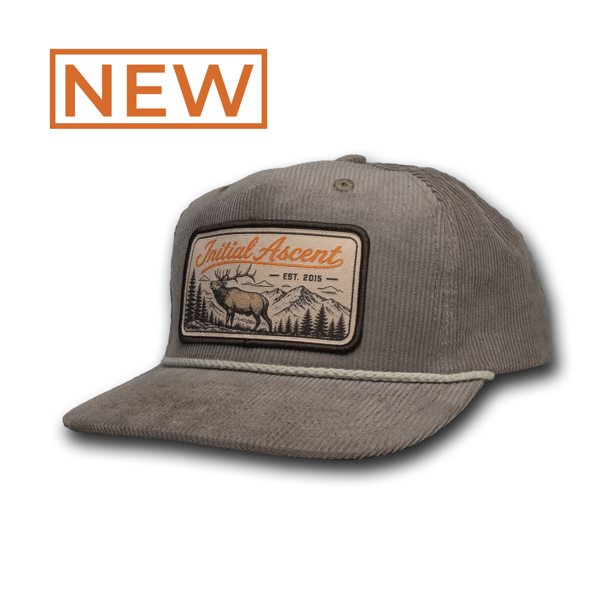 NEW45.png