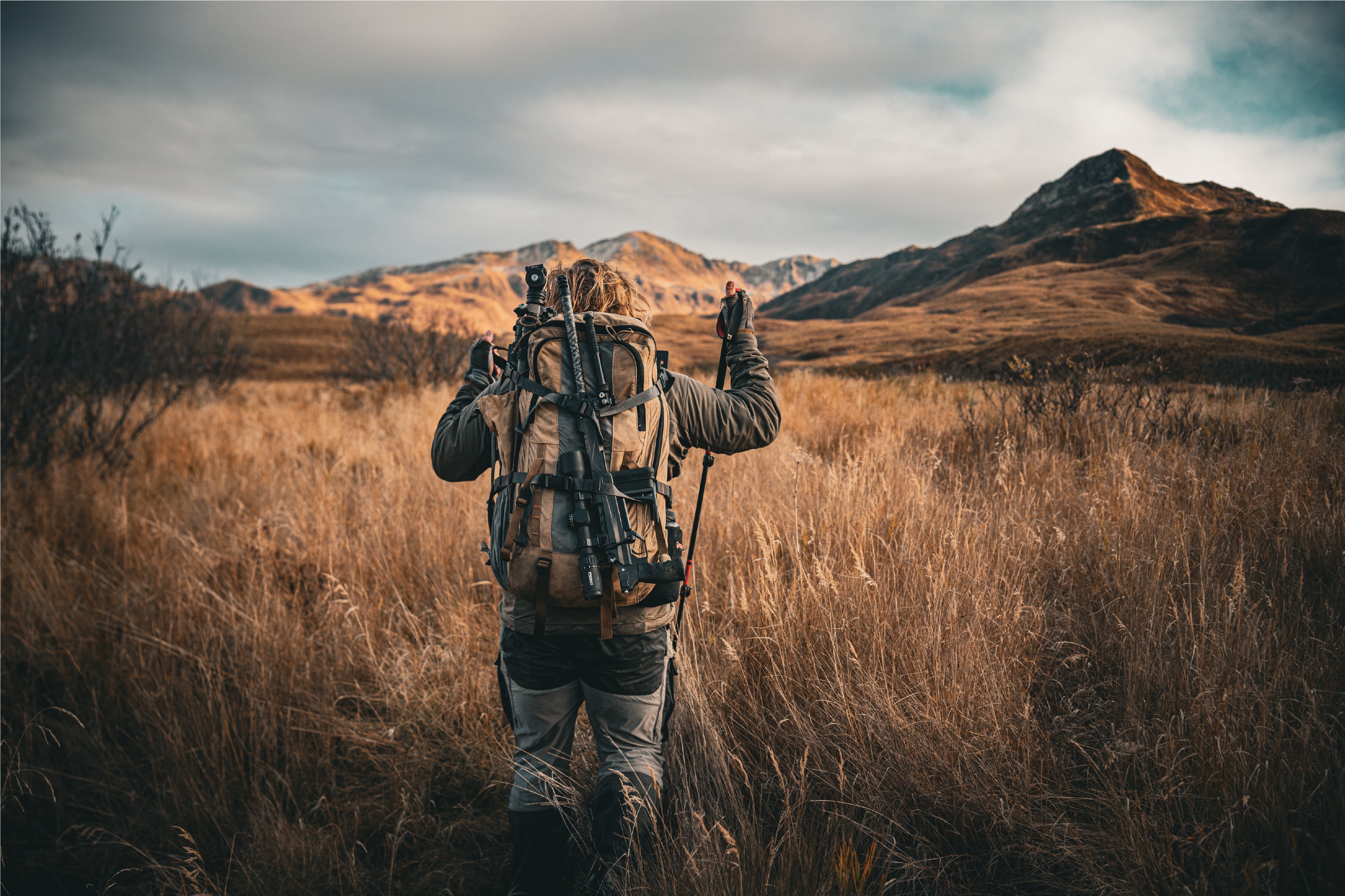 T1_Still_Kodiak_9dbf4992-5bcb-4be8-84d1-f7ee6251c008.jpg