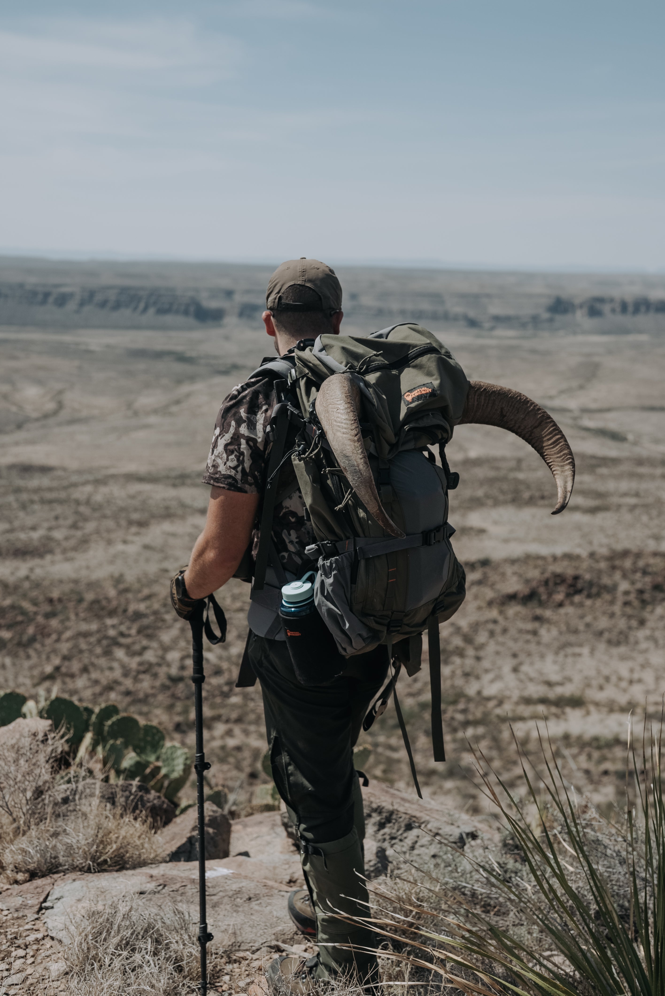 WILL-COOPER-photos-aoudad25_1.jpg