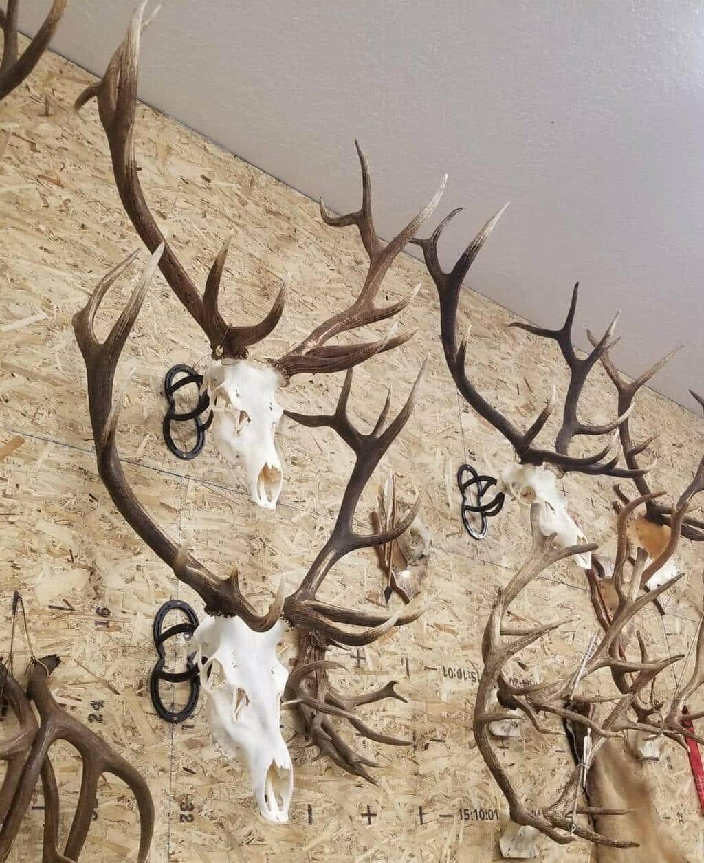 Iron Mountain Skull Hangers- XL Hanger