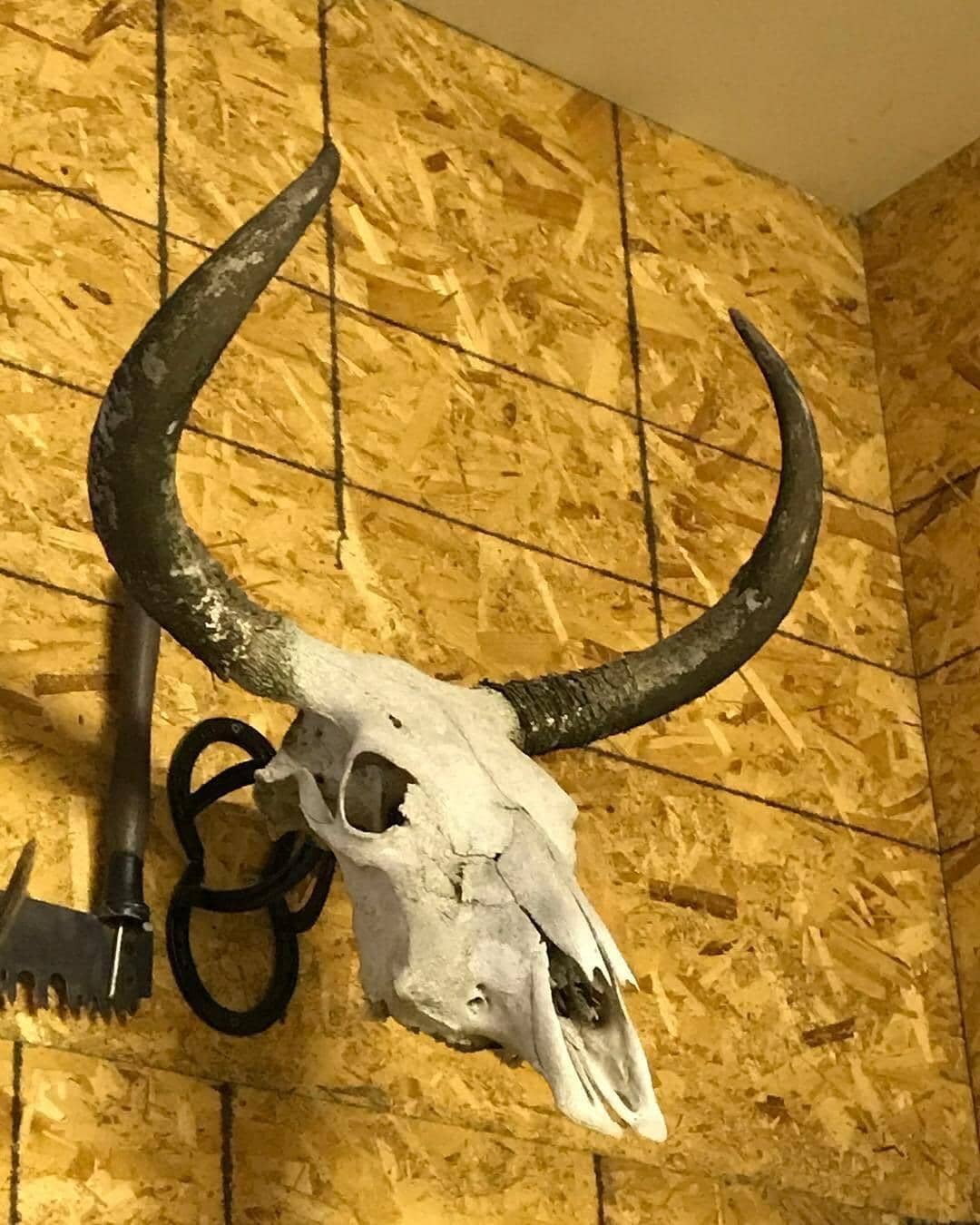 Iron Mountain Skull Hangers- Large Hanger – Initial Ascent