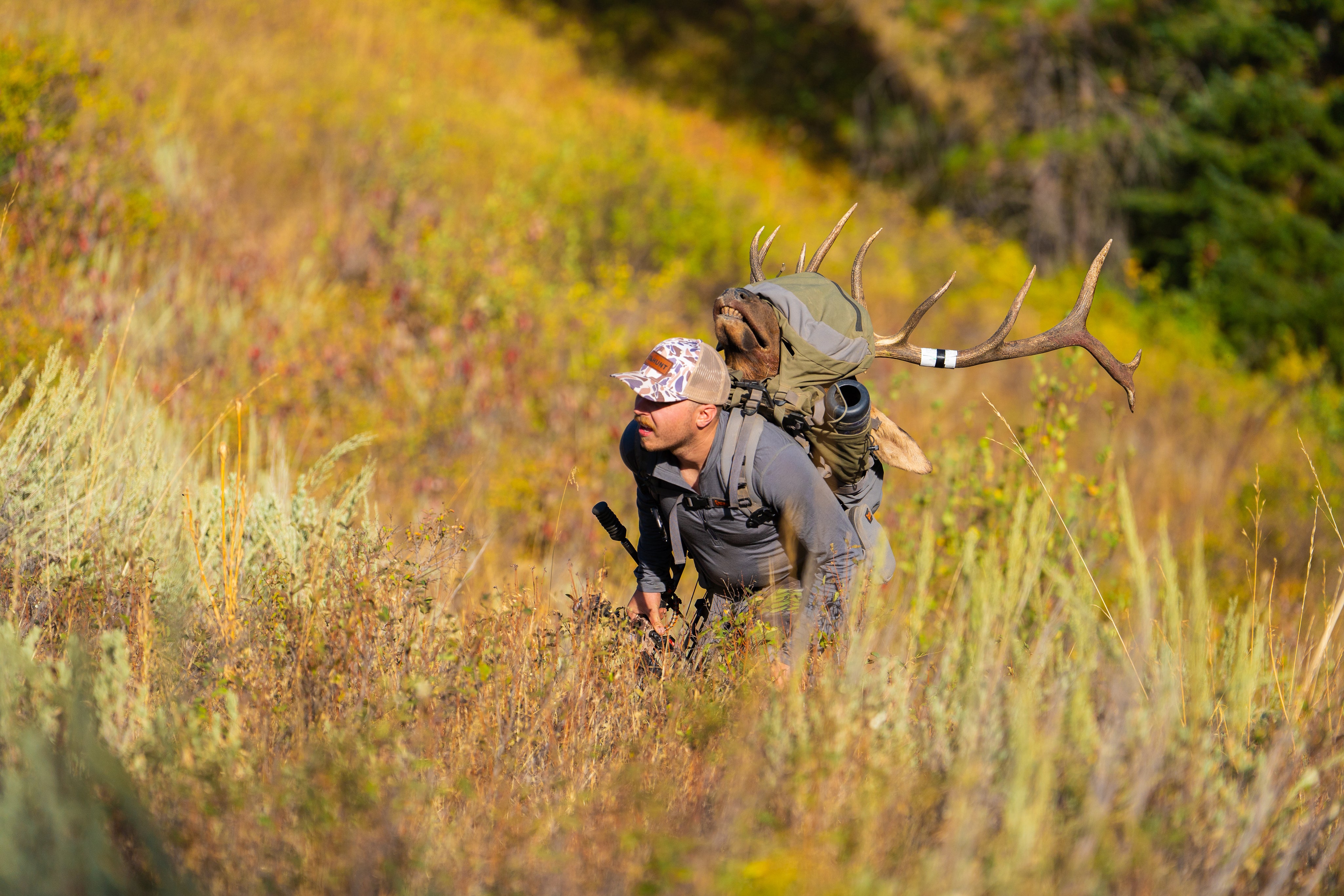 archery-elk-hunt-idaho-slayer245.jpg