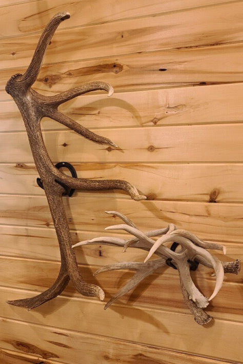 Iron Mountain Skull Hangers- Shed Hanger