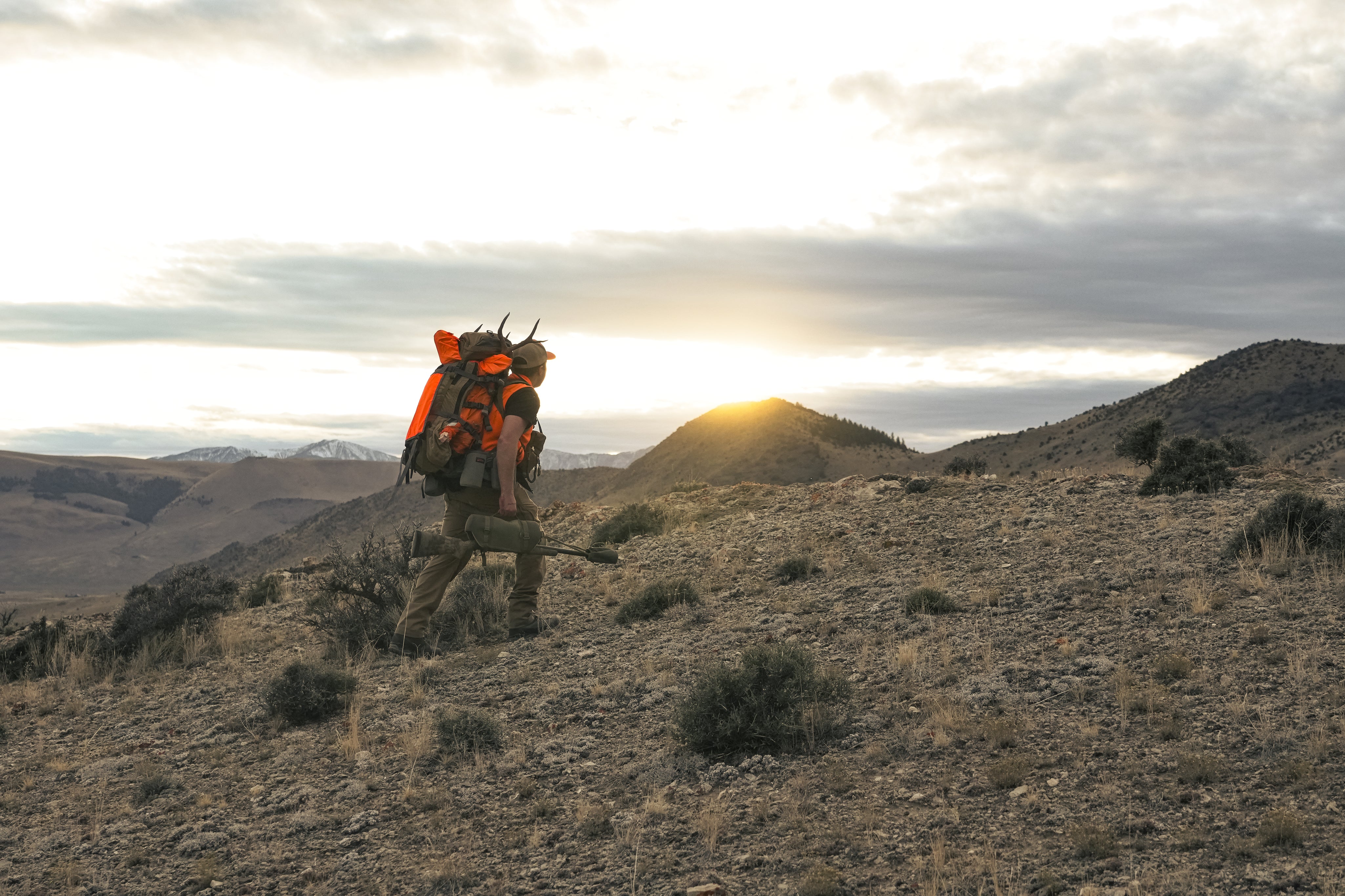 montana-deer-hunt-idahunt64.jpg