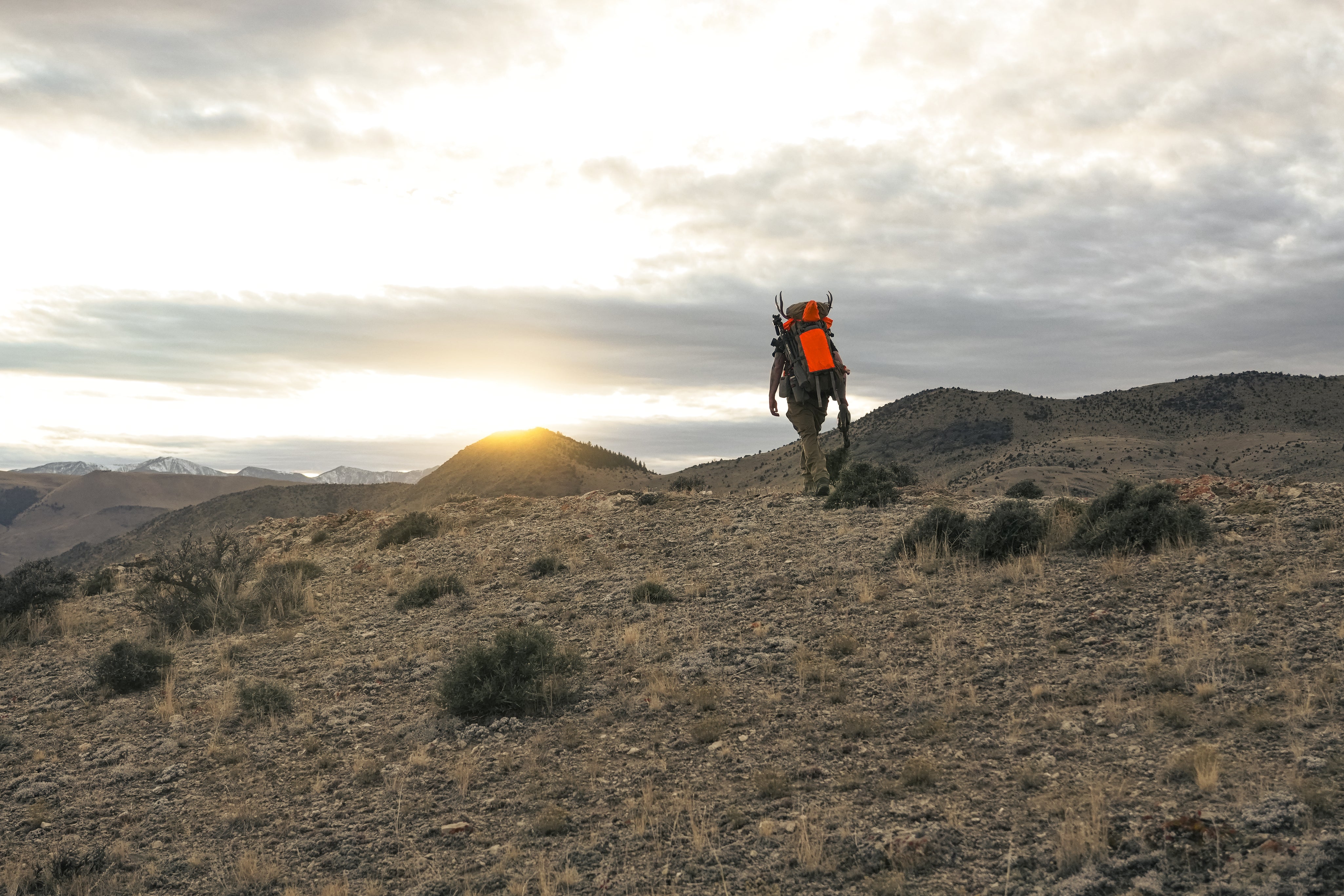 montana-deer-hunt-idahunt72.jpg
