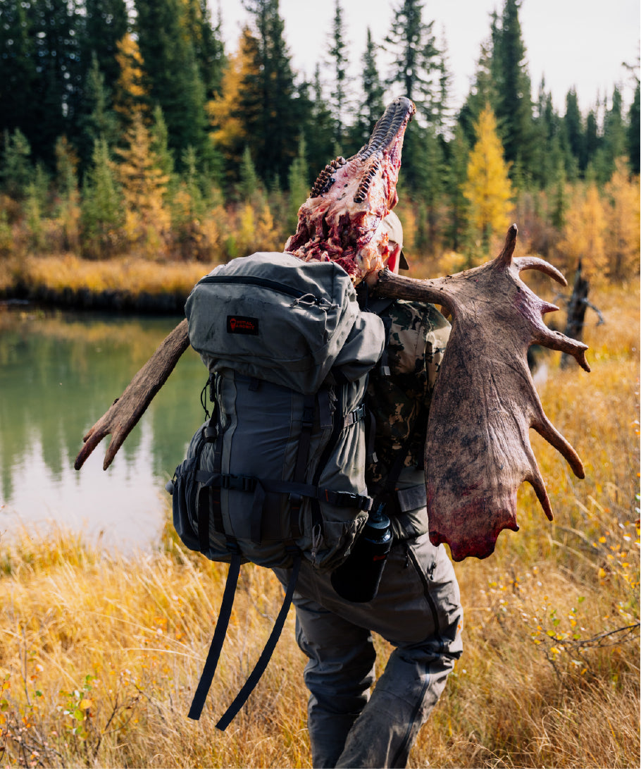 phelps-dirk-jason-moose-hunt83_b3ca9207-e45b-4026-a1e9-ca252293e6c1.jpg