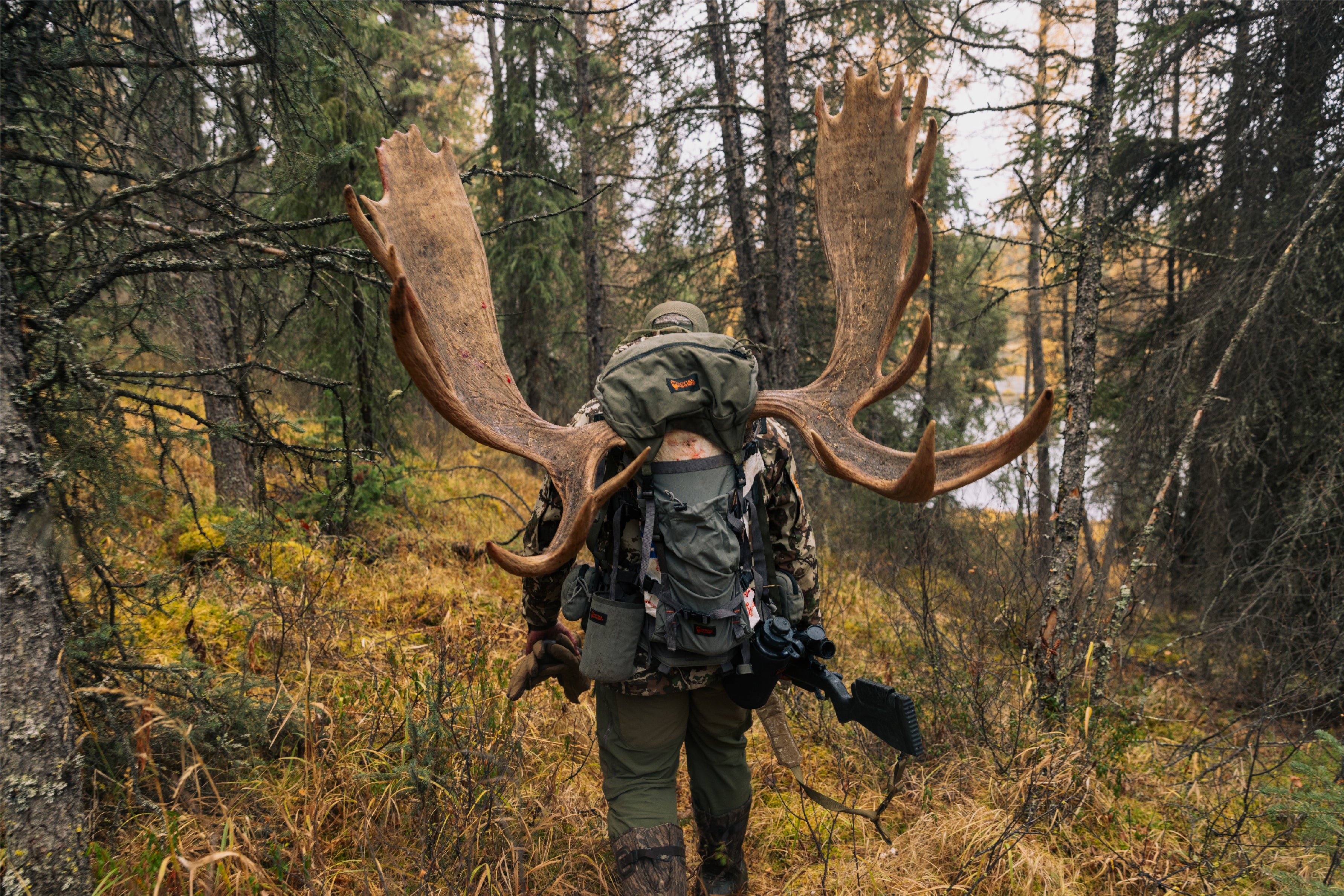 phelps_moose_5697c822-7b7d-4308-b03f-6a252f321995.jpg