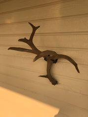 Iron Mountain Skull Hangers- Shed Hanger - Initial Ascent